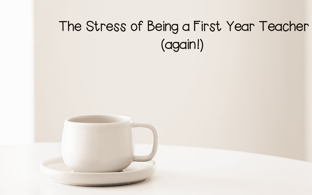 The Stress of being a First Year Teacher… Again!